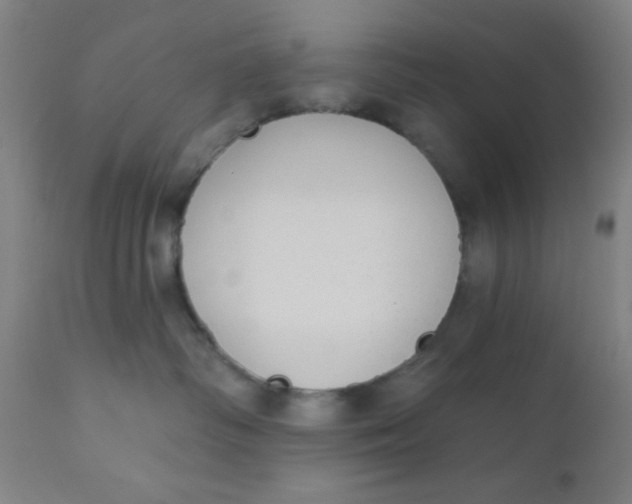 X0000110720334200907022052