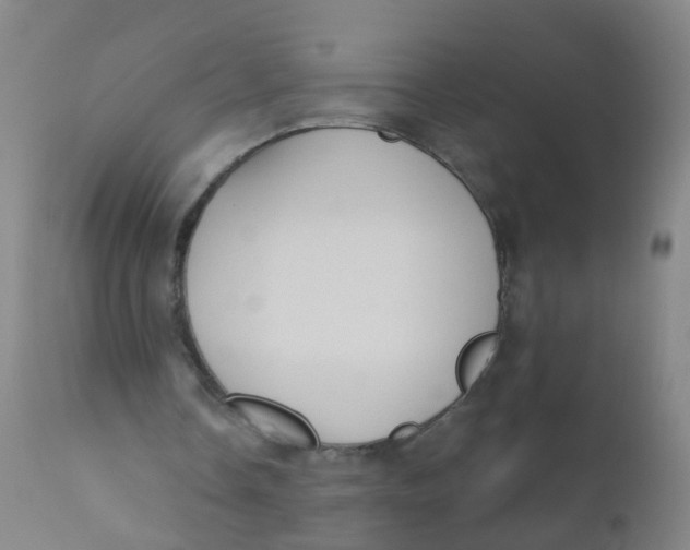 X0000110720338200907022052