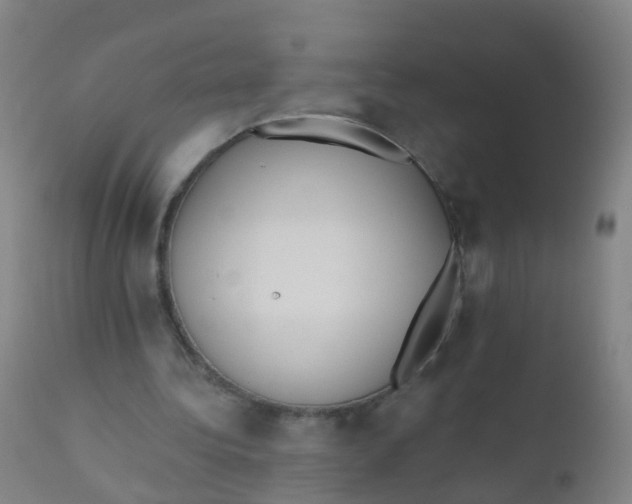 X0000110720340200907022052