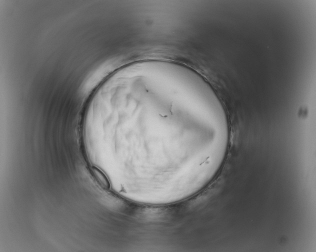 X0000110720341200907022052