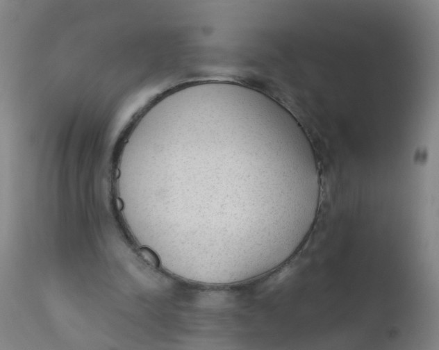 X0000110720342200907022052