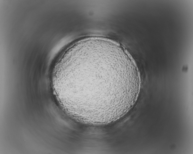 X0000110720343200907022052