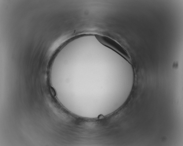 X0000110720344200907022052