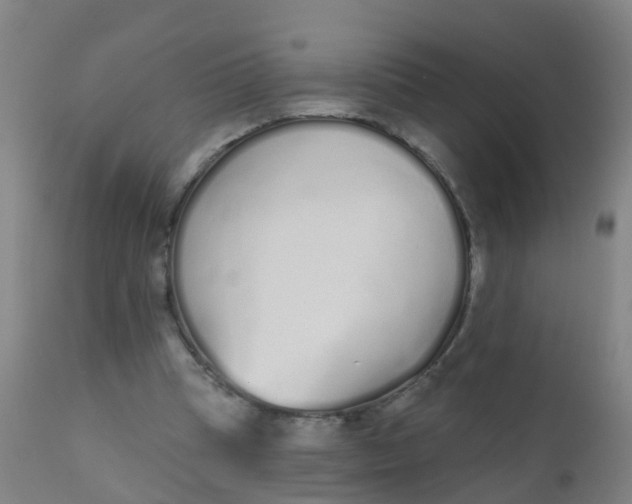 X0000110720345200907022052