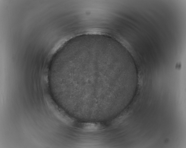 X0000110720347200907022052