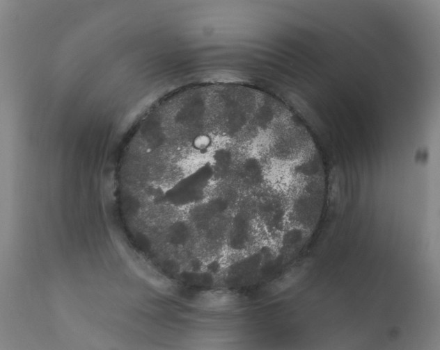 X0000110720351200907022052