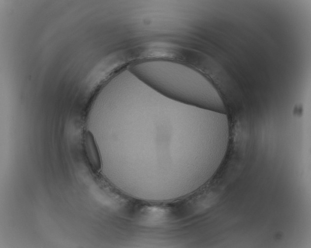 X0000110720352200907022052