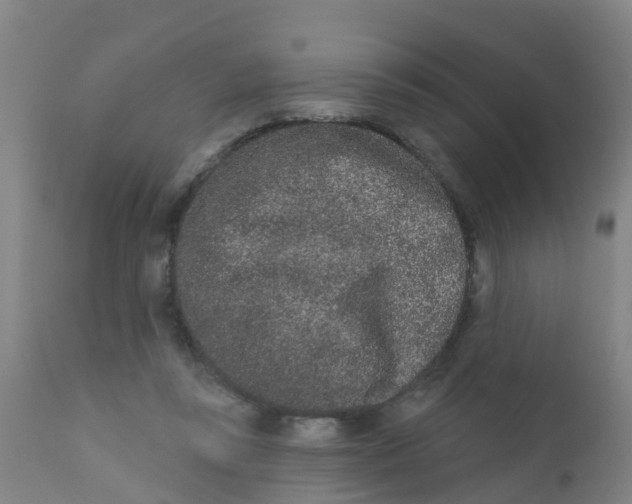 X0000110720355200907022052