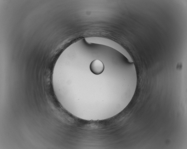 X0000110720356200907022052