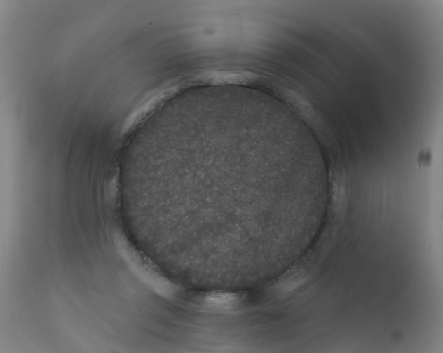 X0000110720357200907022052