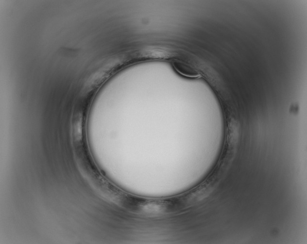 X0000110720358200907022052