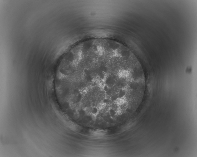 X0000110720359200907022052