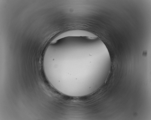 X0000110720360200907022052