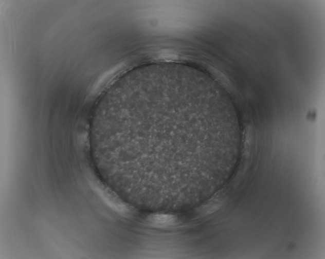 X0000110720361200907022052