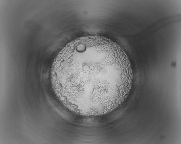 X0000110720365200907022052