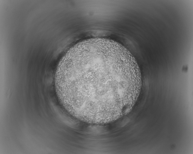 X0000110720367200907022052