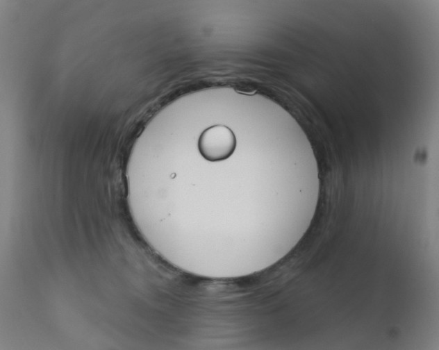 X0000110720372200907022052