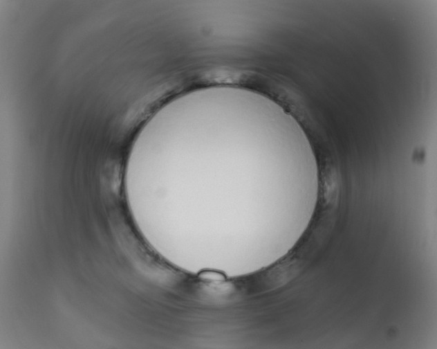 X0000110720374200907022052