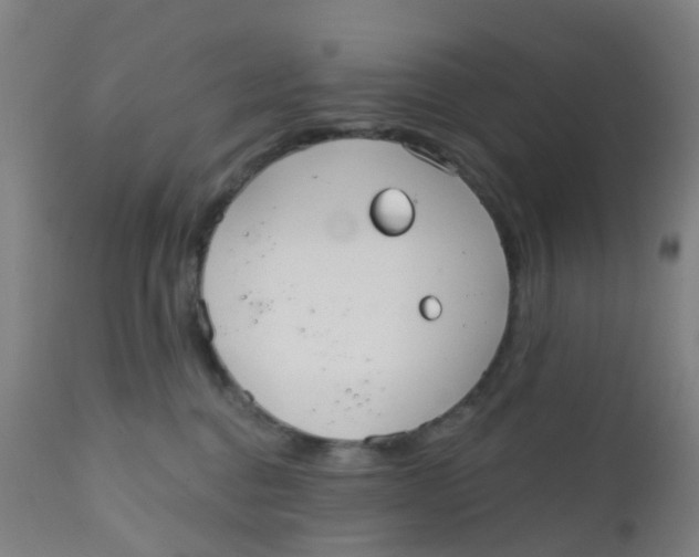 X0000110720376200907022052