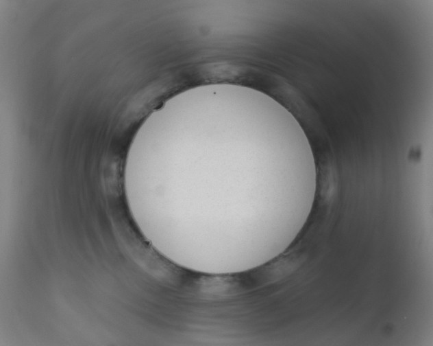 X0000110720378200907022052