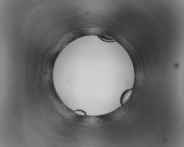 X0000110720379200907022052