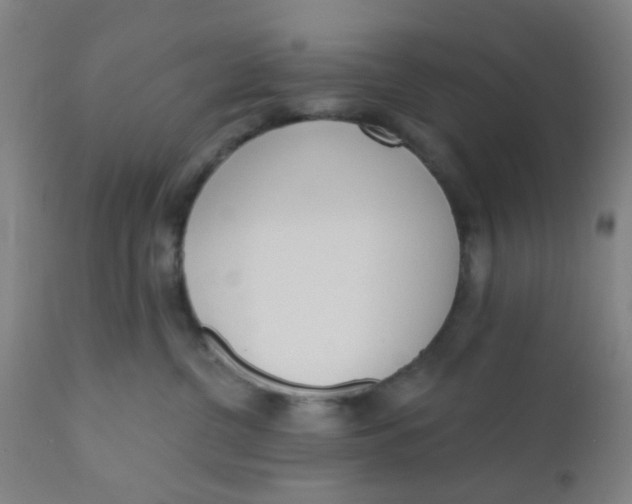 X0000110720380200907022052