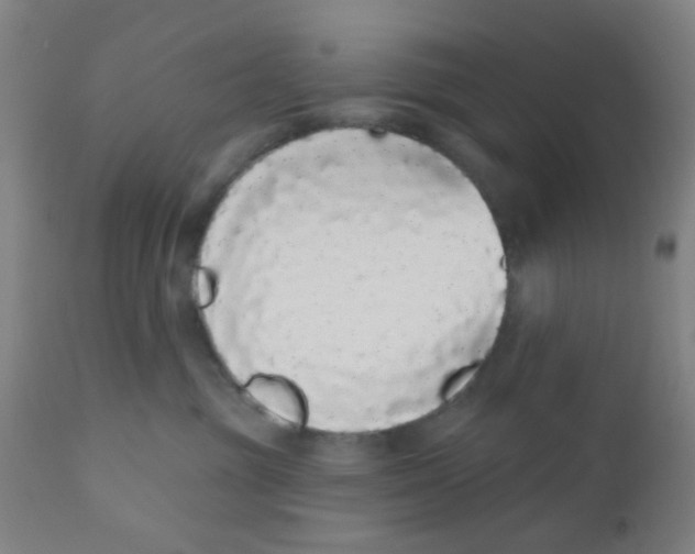 X0000110720381200907022052