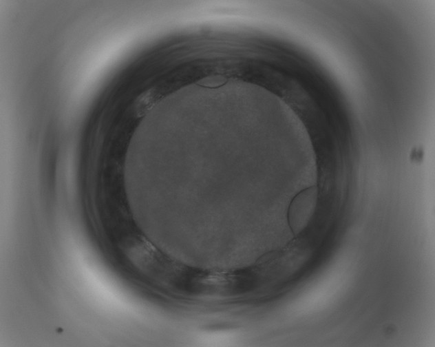 X0000110720383200907022052