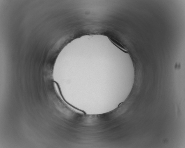 X0000110720384200907022052