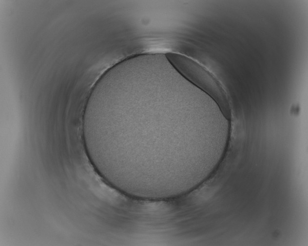 X0000110720385200907022051