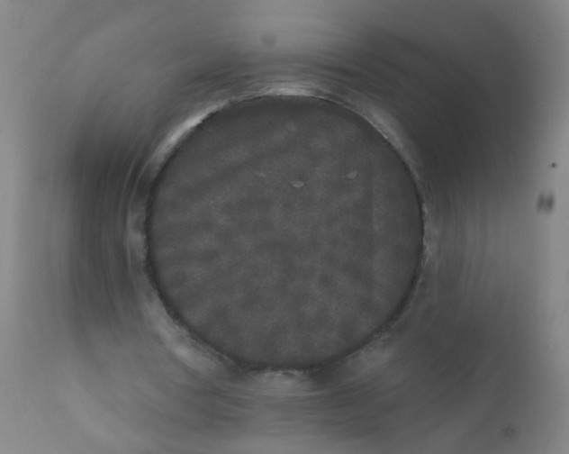 X0000110720386200907022051