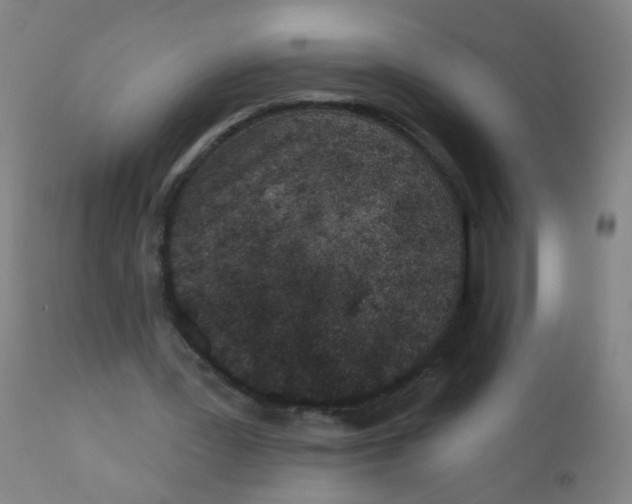 X0000110720387200907022051