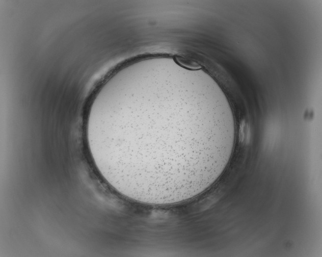 X0000110720388200907022051