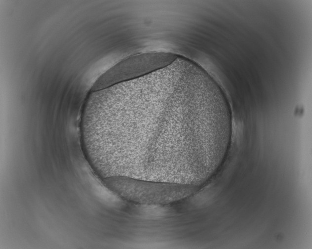 X0000110720389200907022051