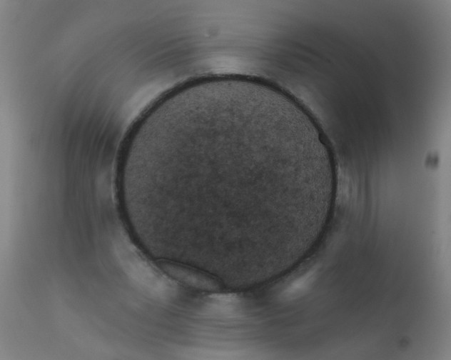 X0000110720391200907022051