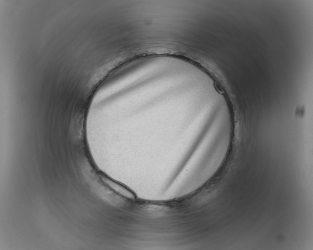 X0000110720393200907022051