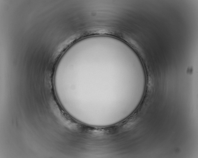 X0000110720394200907022051