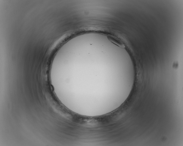 X0000110720395200907022051