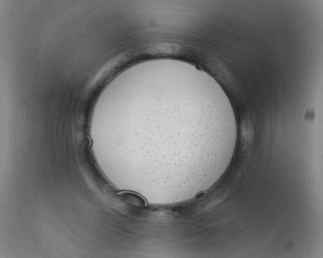 X0000110720396200907022051