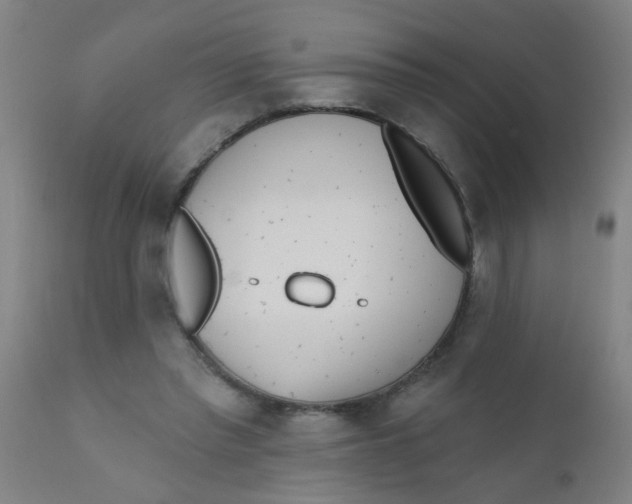 X0000110720397200907022051