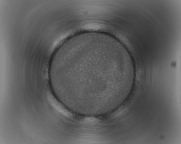 X0000110720399200907022051