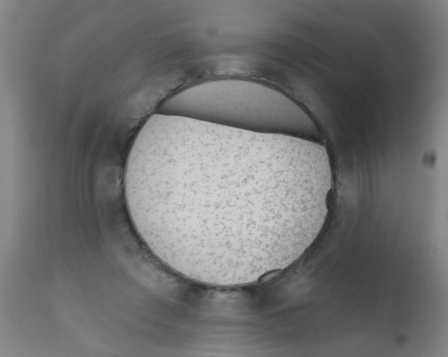 X0000110720401200907022051