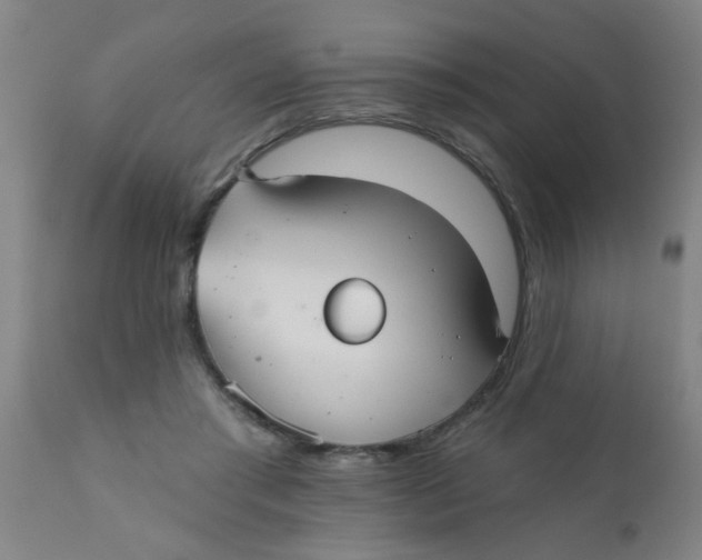 X0000110720405200907022051