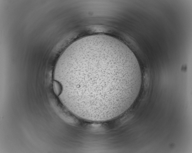 X0000110720406200907022051