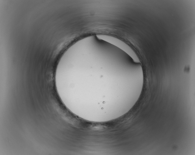 X0000110720407200907022051