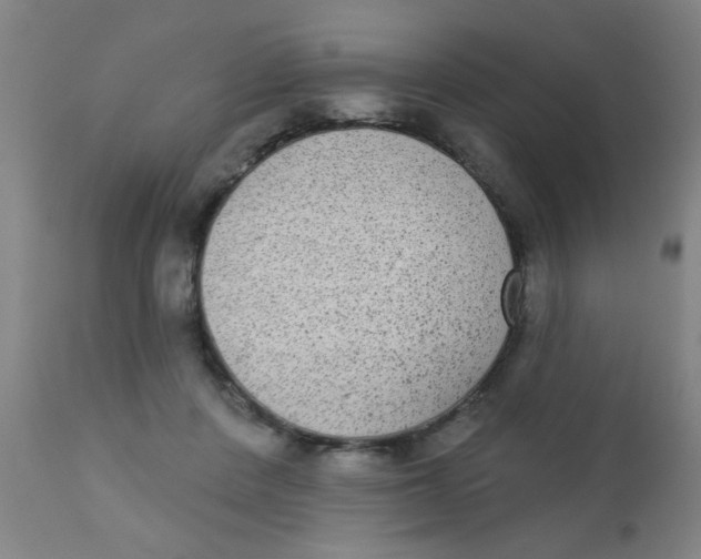 X0000110720408200907022051