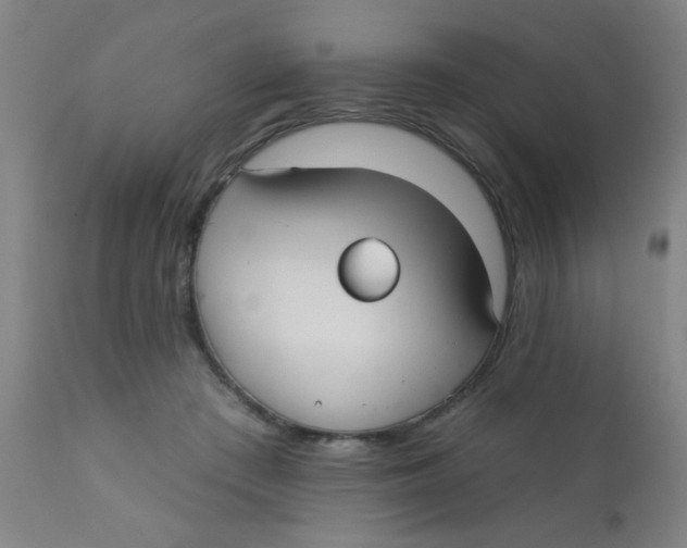 X0000110720409200907022051