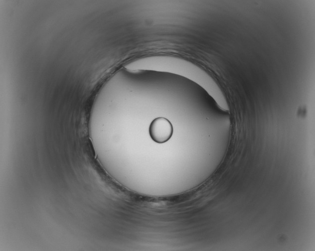 X0000110720411200907022051