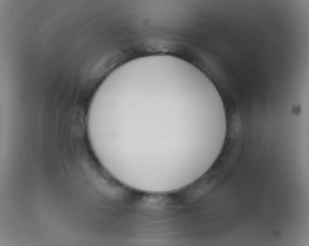 X0000110720414200907022051