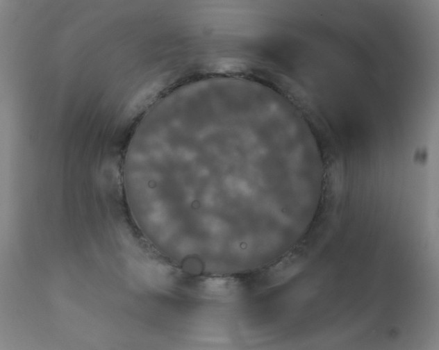 X0000110720415200907022051